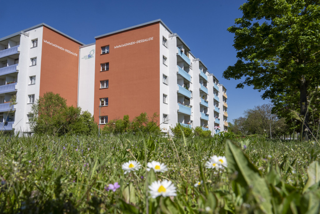 3-RWE im Zentrum