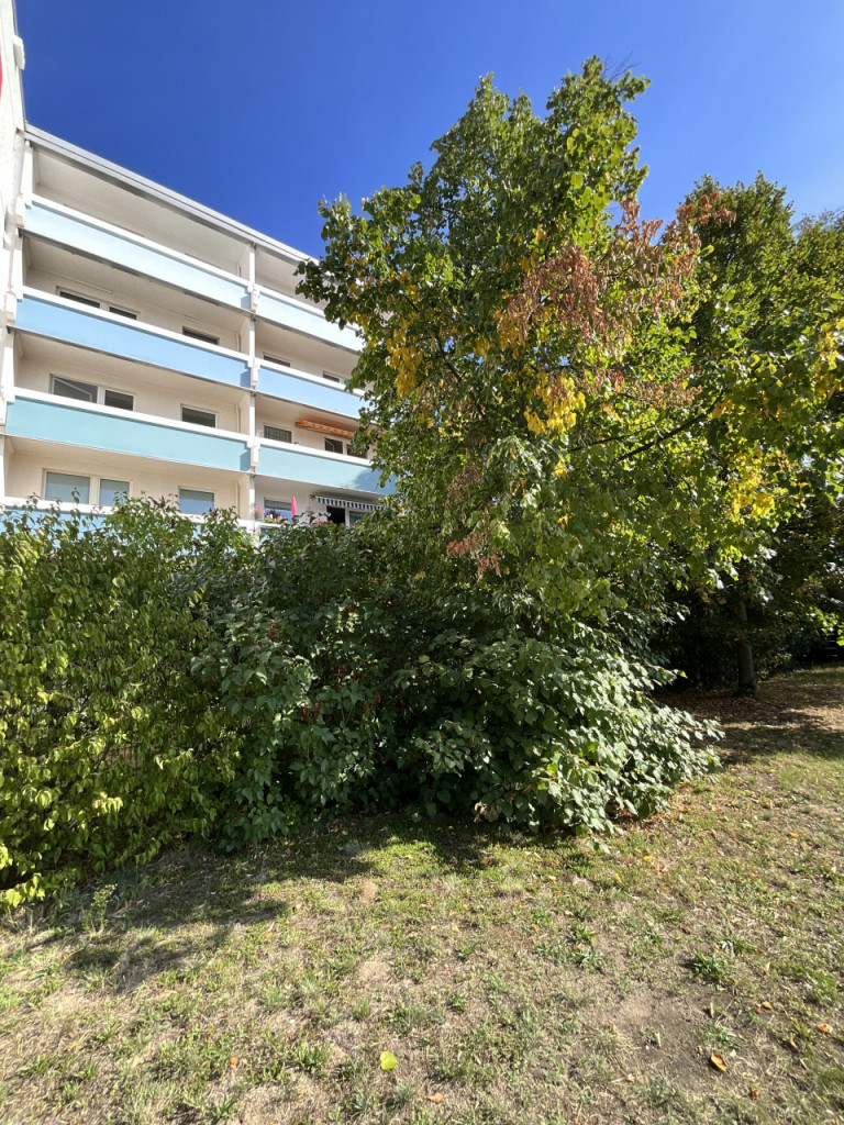 Bild 1 : 1-RWE mit Balkon