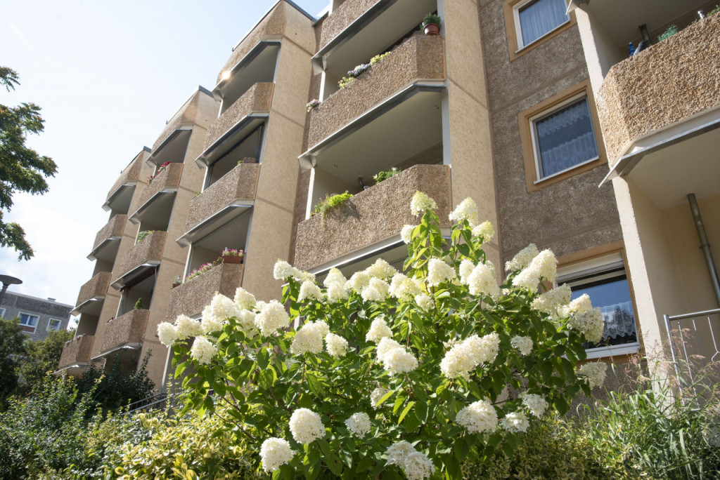 Deine neue Wohnung