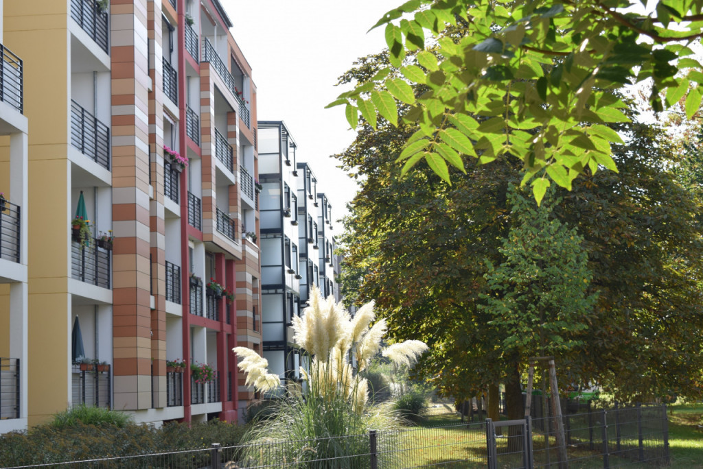 Bild 1 : Wohnung mit Aufzug und Balkon